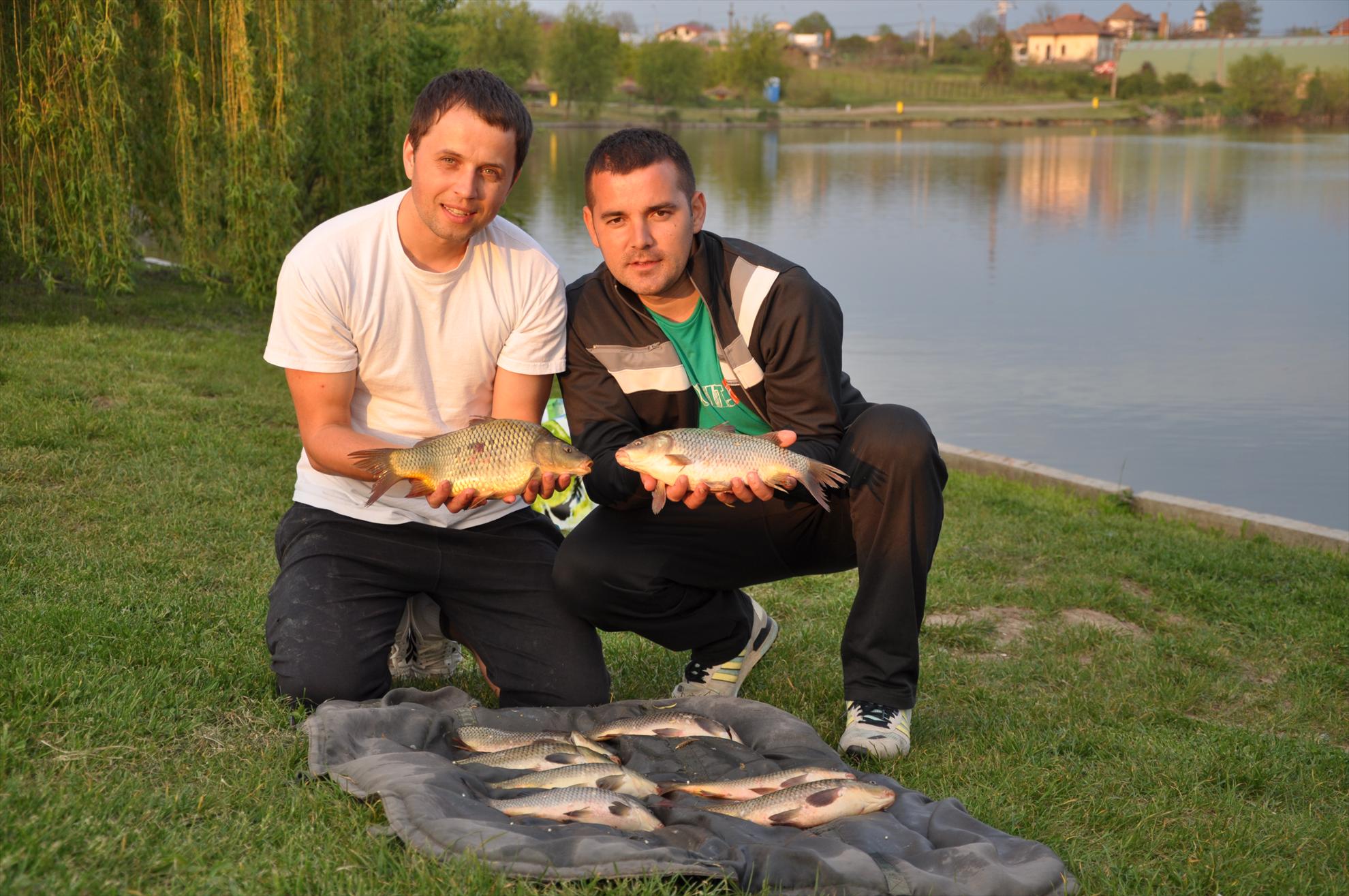 Partide 2010 - 2012 - dsc0605.JPG